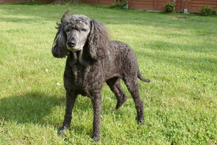 Evi - 09.06.2010
